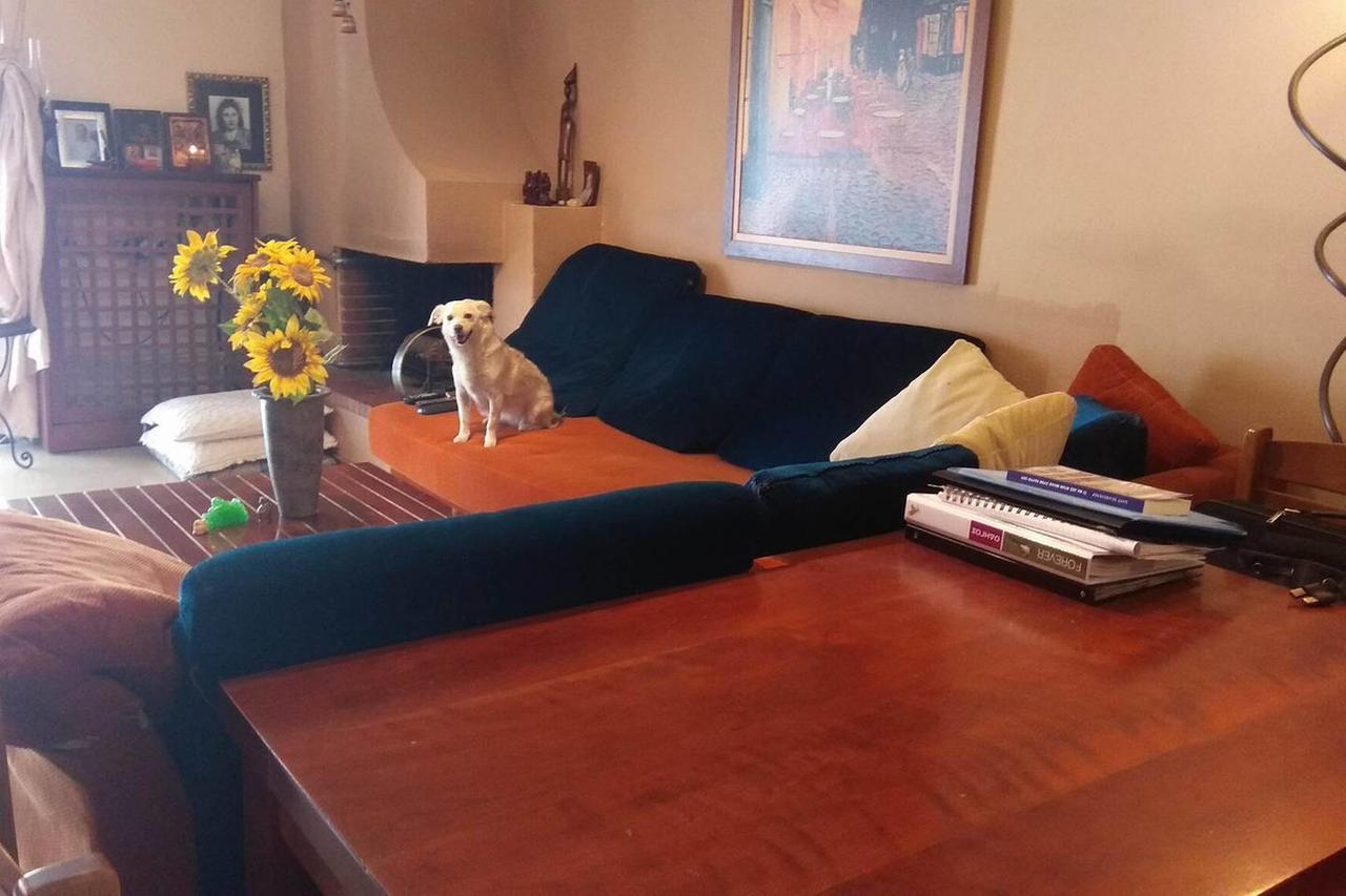 Private In A Shared Flat Accommodatie bij particulieren *