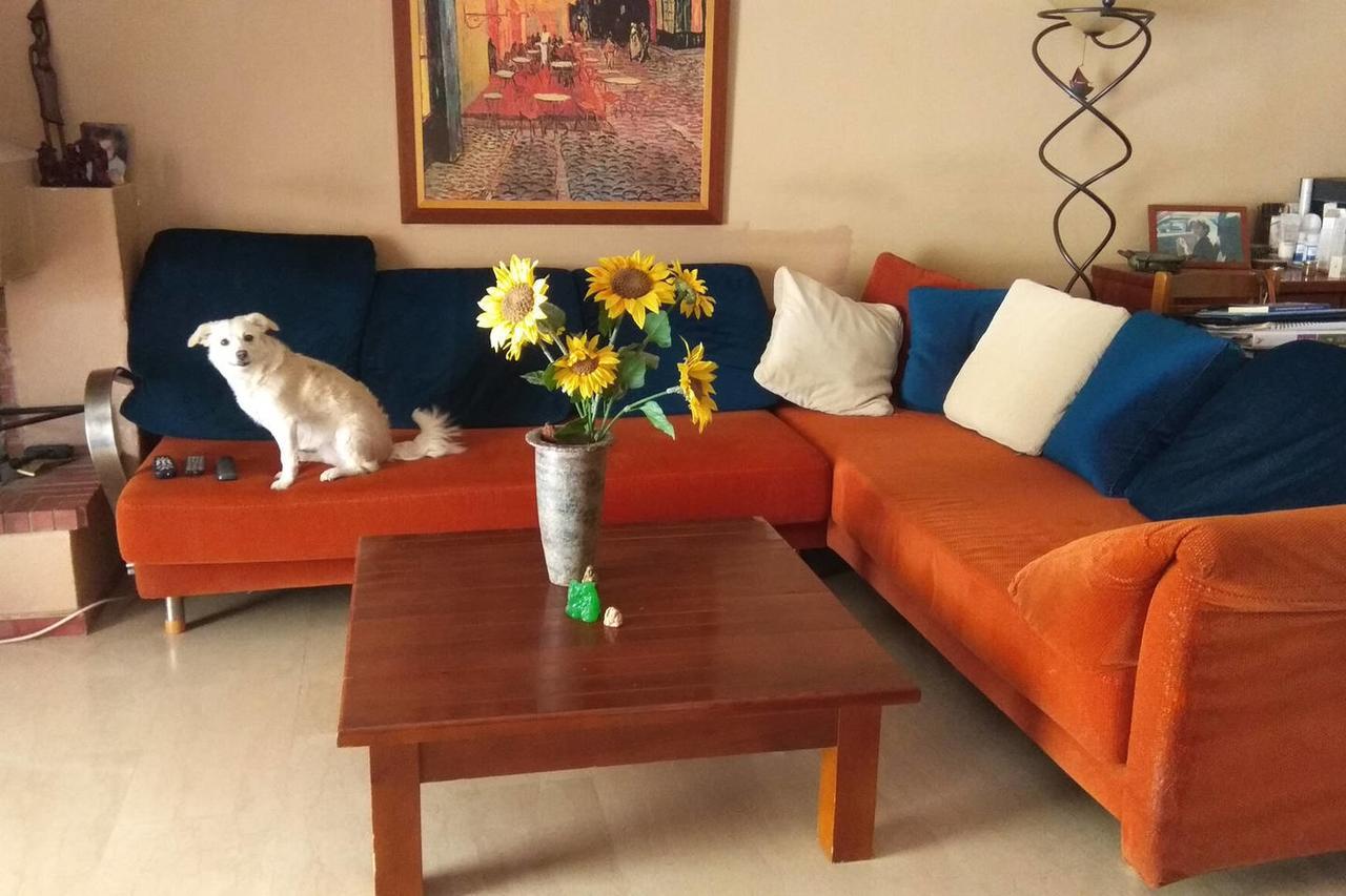Kwatera prywatna Private In A Shared Flat